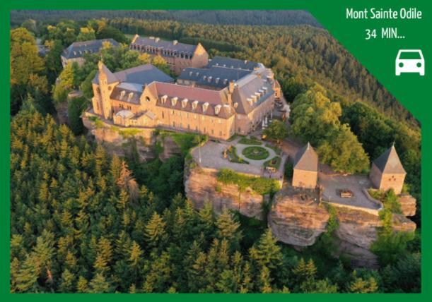 Apartament Aux Plaisirs D'Alsace Centre Historique Sélestat Zewnętrze zdjęcie