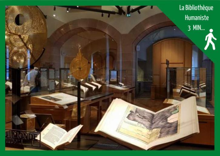 Apartament Aux Plaisirs D'Alsace Centre Historique Sélestat Zewnętrze zdjęcie