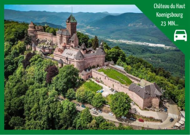 Apartament Aux Plaisirs D'Alsace Centre Historique Sélestat Zewnętrze zdjęcie